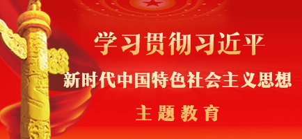 學(xué)習(xí)貫徹習(xí)近平新時(shí)代中國(guó)特色社會(huì)主義思想主題教育